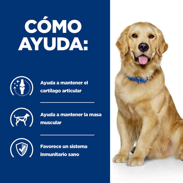 Hill's Prescription Diet Joint Care j/d Reduced Calorie Pollo pienso para perros, , large image number null